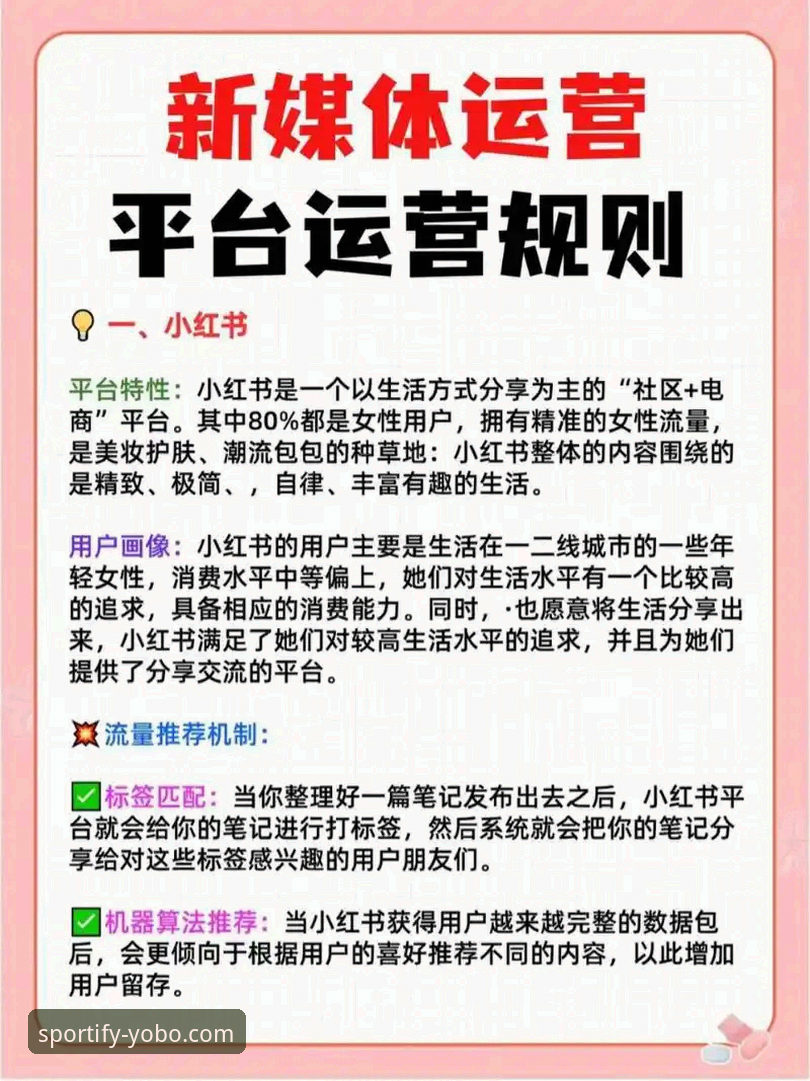 刚接触这个平台？全新版YoBo实用入门指南