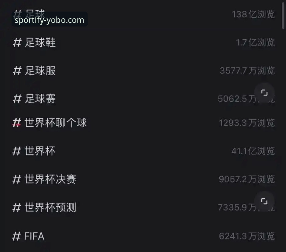 2026新版YoBo体育安装指南：3种官方渠道保障你的观赛体验